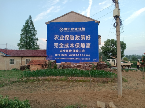 邵武墙体广告的优劣势你知道吗？