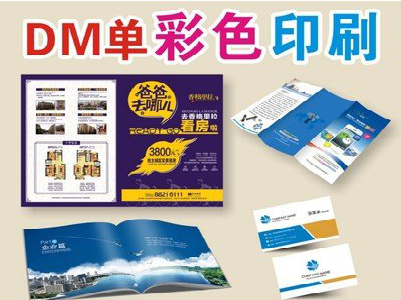 邵武单页印刷，色彩搭配简单。